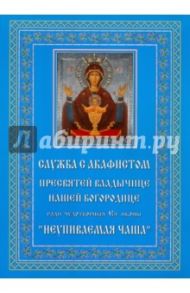 Служба с акафистом Пресвятей Владычице нашей Богородице