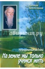 На земле мы только учимся жить. Непридуманные рассказы / Протоиерей Валентин Бирюков