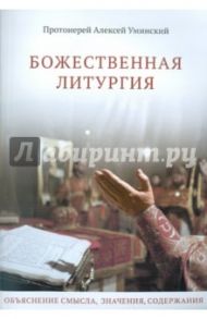 Божественная Литургия. Объяснение смысла, значения, содержания / Протоиерей Алексей Уминский