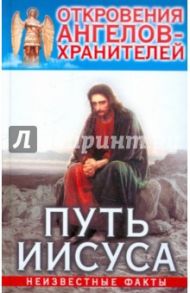 Откровения Ангелов-Хранителей. Путь Иисуса / Гарифзянов Ренат Ильдарович