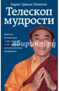 Телескоп мудрости. Краткий подстрочный комментарий к "Письму другу" великого мастера Нагарджуны / Тринле Карма Ринпоче