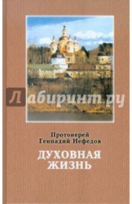 Духовная жизнь / Протоиерей Геннадий Нефедов