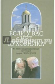 Если у вас нет духовника. На вопросы верующих отвечает протоиерей Андрей Спиридонов