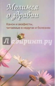Молимся о здравии. Канон и акафисты, читаемые в недугах и болезнях