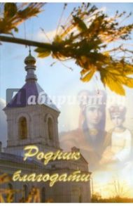 Родник благодати / Евтюхин Ю. Н.