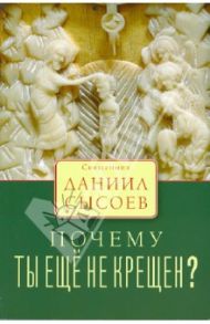 Почему ты еще не крещен? / Священник Даниил Сысоев