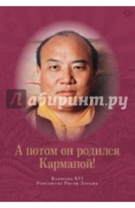А потом он родился Кармапой! / Дордже Рангджунг Ригпе