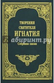 Собрание писем. Том VIII / Святитель Игнатий (Брянчанинов)