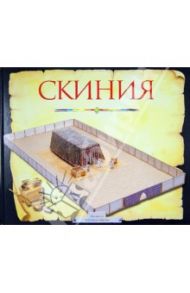 Скиния / Даули Тим, Пол Питер