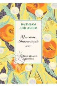 Христос, Спасающий нас. Святой Иоанн Златоуст / Святитель Иоанн Златоуст