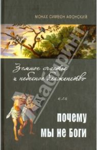 Земное счастье и небесное блаженство, или Почему мы не Боги? / Монах Симеон Афонский