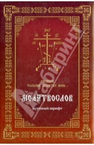 Молитвослов "Господи, услыши молитву мою...". Крупный шрифт / Пыльнева Галина