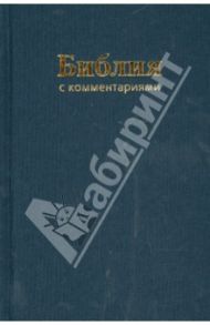 Библия. Книги Священного Писания Ветхого и Нового Завета. В Синодальном переводе с комментариями
