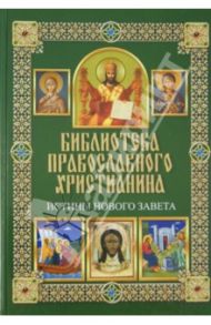 Истины Нового Завета / Михалицын Павел Евгеньевич, Нестеренко Вячеслав Владимирович