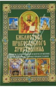 Православный храм и богослужение. Нравственные нормы православия / Михалицын Павел Евгеньевич