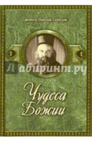 Чудеса Божии / Святитель Николай Сербский (Велимирович)