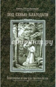 Под сенью благодати. Непридуманные истории чудес Саровской обители / Священник Петр Поляков