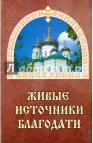 Живые источники благодати. Об избавлении от недугов пьянства, наркомании и табакокурения / Гончаров Евгений Иванович