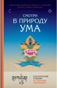 Смотри в природу ума. Классический учебник по практике Махамудры / Намгьял Дагпо Таши, Кармапа  Девятый Вангчуг Дордже