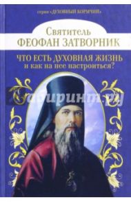 Что есть духовная жизнь и как на нее настроиться? / Святитель Феофан Затворник