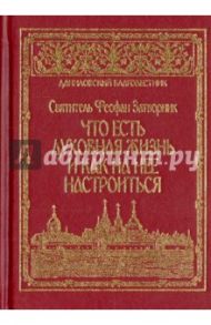 Что есть духовная жизнь и как на нее настроиться? / Святитель Феофан Затворник