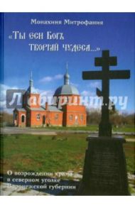 "Ты еси Бог творяй чудеса..." О возрождении храма в северном уголке Воронежской губернии / Монахиня Митрофания