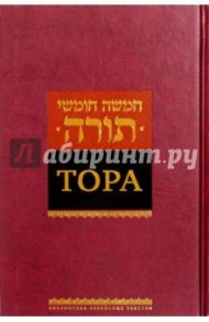 Тора