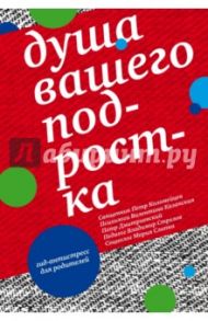 Душа вашего подростка. Гид-антистресс для родителей / Казанская Валентина Георгиевна, Священник Петр Коломейцев, Дмитриевский Петр Витальевич