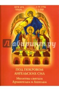 Под покровом ангельских Сил. Молитвы святым Архангелам и Ангелам