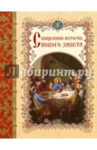 Священная история Нового Завета, изложенная по Евангельскому тексту