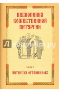 Песнопения Божественной литургии. Часть 1. Литургия оглашенных