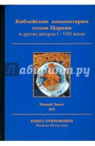 Библейские комментарии отцов Церкви и других авторов I-VIII веков. Новый Завет. Том XII