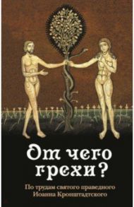 От чего грехи? Опыт борьбы со страстями / Святой праведный Иоанн Кронштадтский