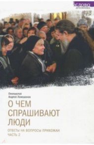 О чем спрашивают люди. Ответы на вопросы прихожан. Часть 2 / Протоиерей Андрей Лемешонок