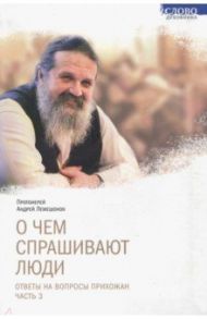 О чем спрашивают люди. Ответы на вопросы прихожан. Часть 3 / Протоиерей Андрей Лемешонок