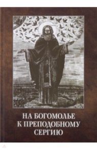 На богомолье к Преподобному Сергию / Владимирова Ольга Алексеевна