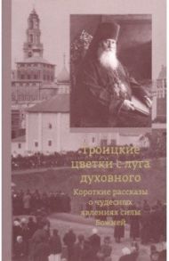 Троицкие цветки с луга духовного. Короткие рассказы о чудесных явлениях силы Божией