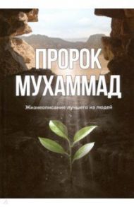 Пророк Мухаммад. Жизнеописание лучшего из людей / Аляутдинов Ильдар