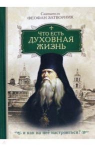 Что есть духовная жизнь и как на нее настроиться? Собрание писем / Святитель Феофан Затворник