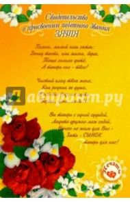 14-029/Свидетельство Зятя