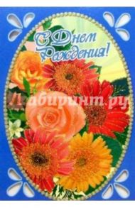 3Т-058/День Рождения/открытка-вырубка двойная