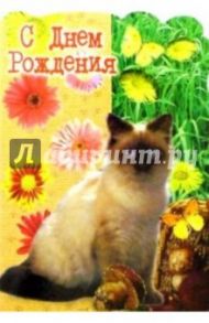 3Т-078/День рождения/открытка-вырубка двойная