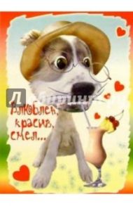3М-001/Влюблен, красив, смел/открытка двойная