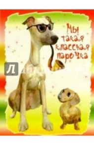 3М-005/Мы такая классная парочка/открытка двойная