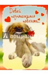 3М-010/Давай познакомимся/открытка двойная
