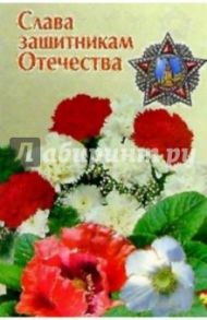 6Т-723/Слава защитникам Отечества/открытка
