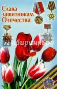 6Т-724/Слава защитникам Отечества/открытка