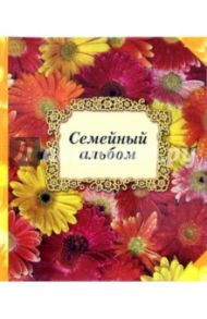 Семейный альбом. Герберы