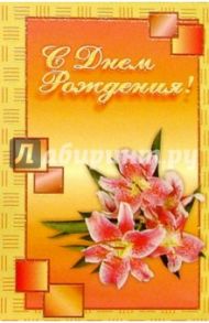 5Т-001/День рождения/открытка двойная