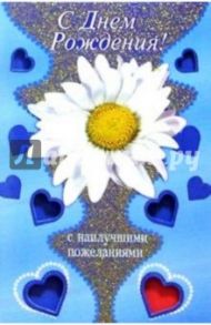 3Т-015/День рождения/открытка-вырубка двойная
